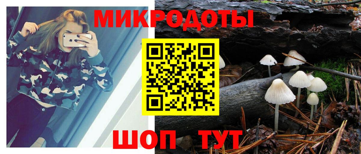 Псилоцибиновые грибы MAGIC MUSHROOMS  Вход с VPN  Вышний Волочёк 